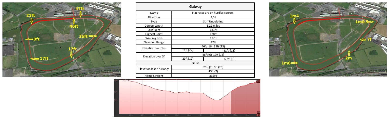 Click the image to enlarge in a new window Galway racecourse map: flat course