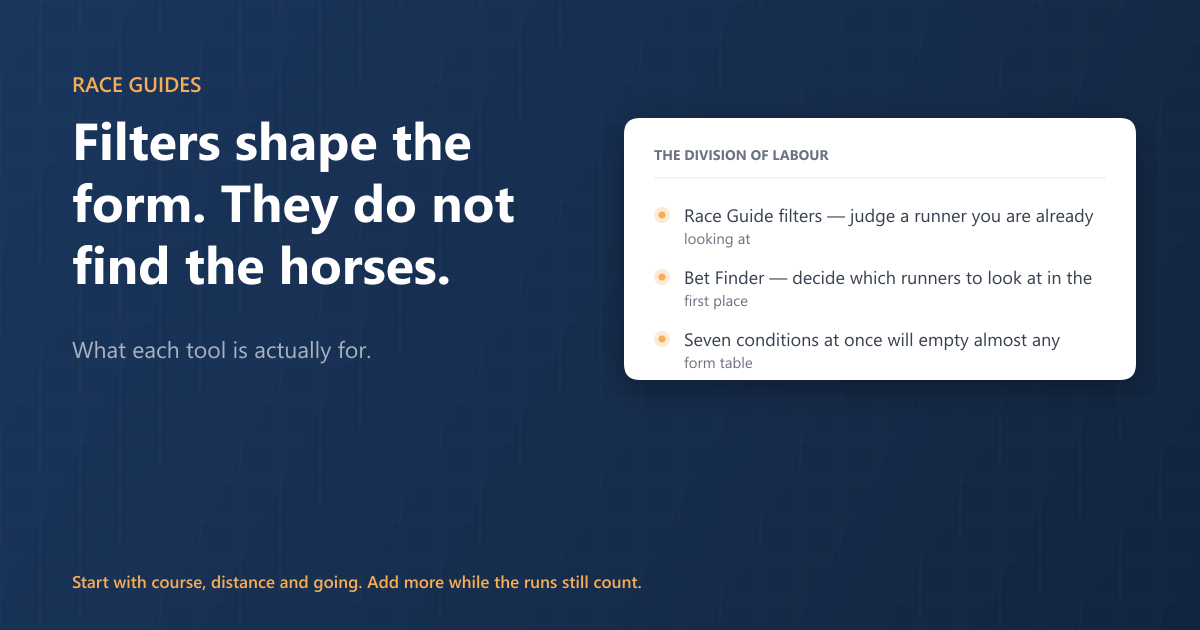 What Race Guide filters actually do (and what finds the horses)