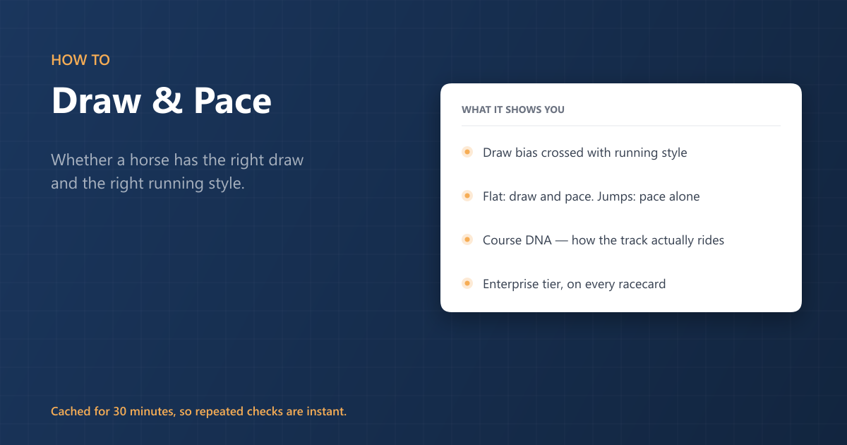 How to Use Draw & Pace on RaceMetrics